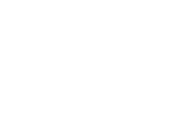 Mavericks CEO Network